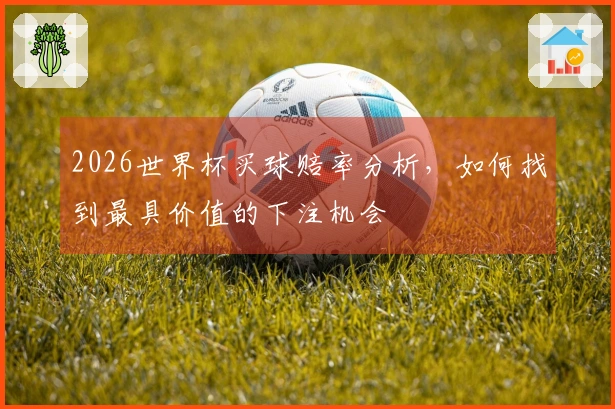 2026世界杯买球赔率分析，如何找到最具价值的下注机会