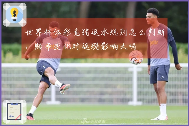 世界杯体彩竞猜返水规则怎么判断，赔率变化对返现影响大吗