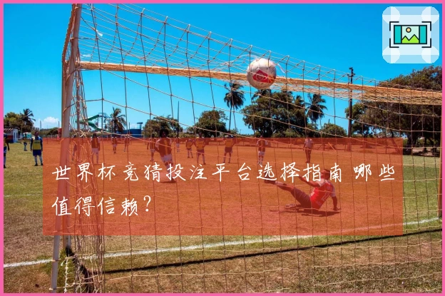 世界杯竞猜投注平台选择指南 哪些值得信赖？