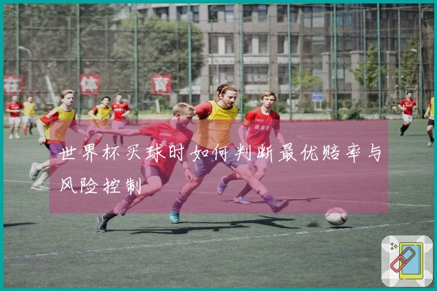 世界杯买球时如何判断最优赔率与风险控制