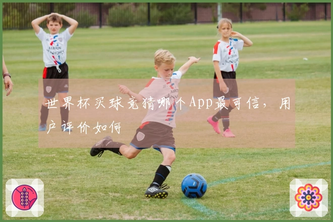 世界杯买球竞猜哪个App最可信，用户评价如何