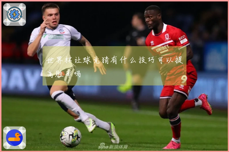 世界杯让球竞猜有什么技巧可以提高胜率吗