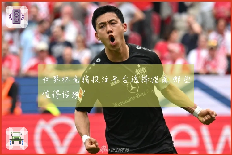 世界杯竞猜投注平台选择指南 哪些值得信赖？
