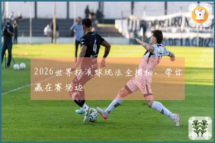 2026世界杯滚球玩法全揭秘，带你赢在赛场边