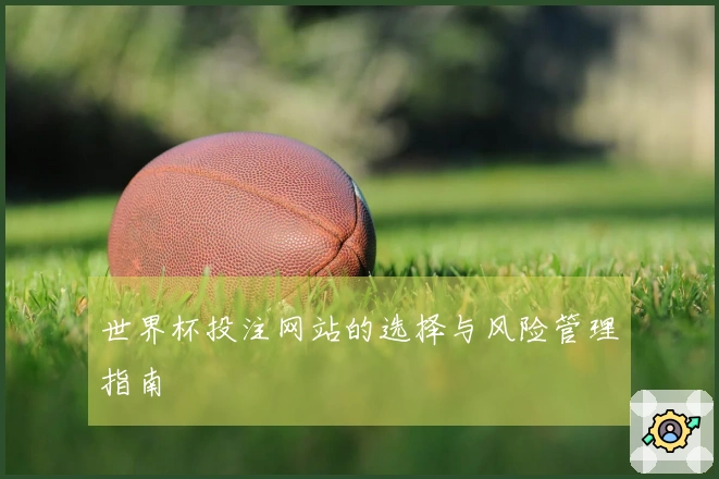 世界杯投注网站的选择与风险管理指南