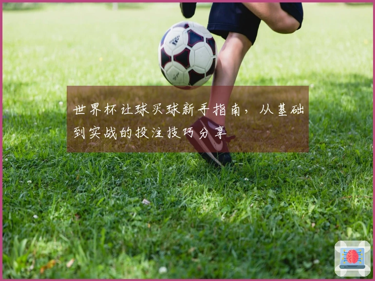 世界杯让球买球新手指南，从基础到实战的投注技巧分享