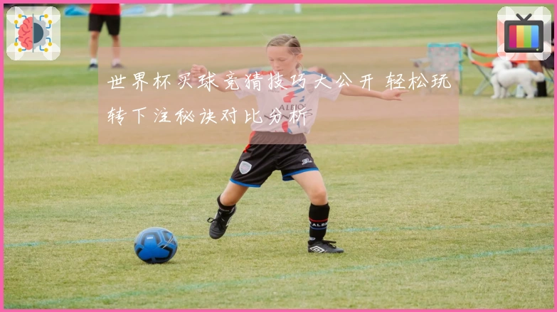 世界杯买球竞猜技巧大公开 轻松玩转下注秘诀对比分析