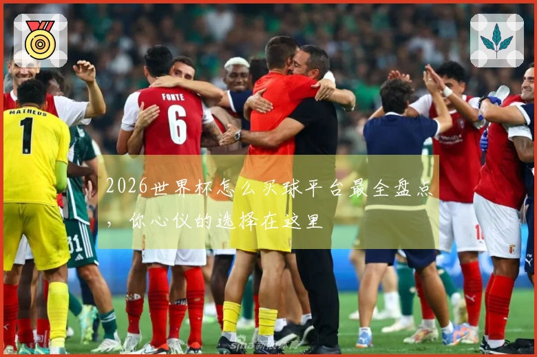 2026世界杯怎么买球平台最全盘点，你心仪的选择在这里