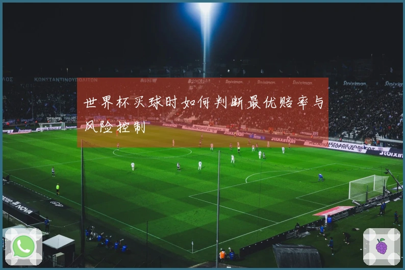 世界杯买球时如何判断最优赔率与风险控制