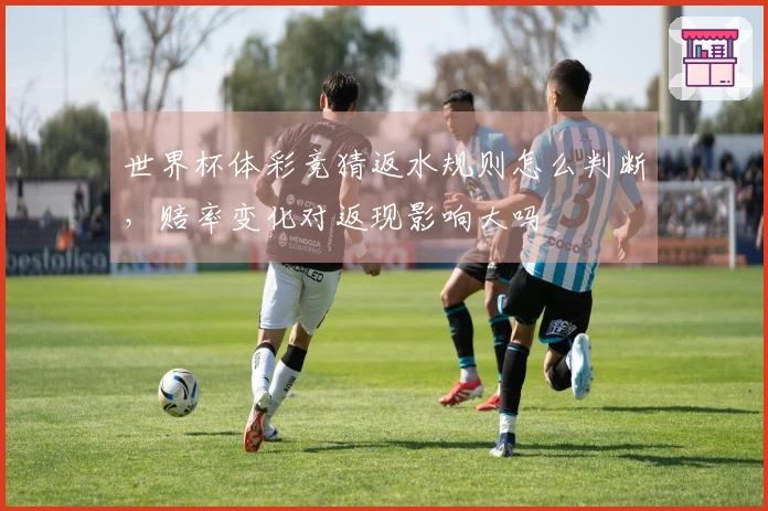 世界杯体彩竞猜返水规则怎么判断，赔率变化对返现影响大吗