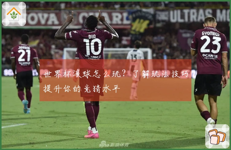 世界杯滚球怎么玩?了解玩法技巧提升你的竞猜水平
