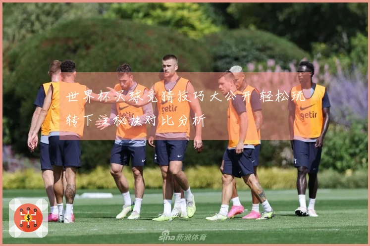 世界杯买球竞猜技巧大公开 轻松玩转下注秘诀对比分析